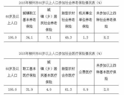 柳州养老保险政策最新解读